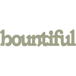 Bountiful  Pack of 10. Each words is 80mm x 18mm