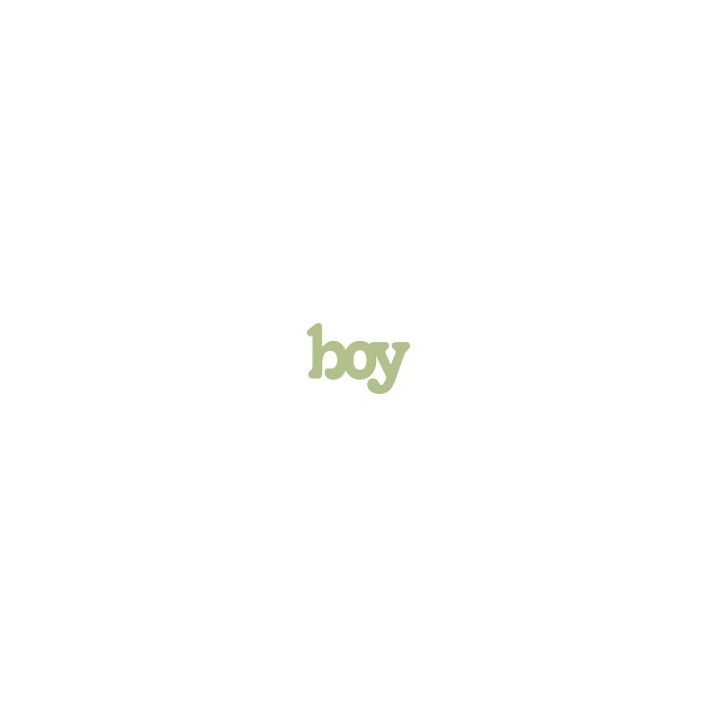 Boy -t  33mm x 22mm pack of 10