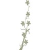 Spring Branch