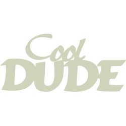 Cool Dude 150mm x 70mm  min buy 3