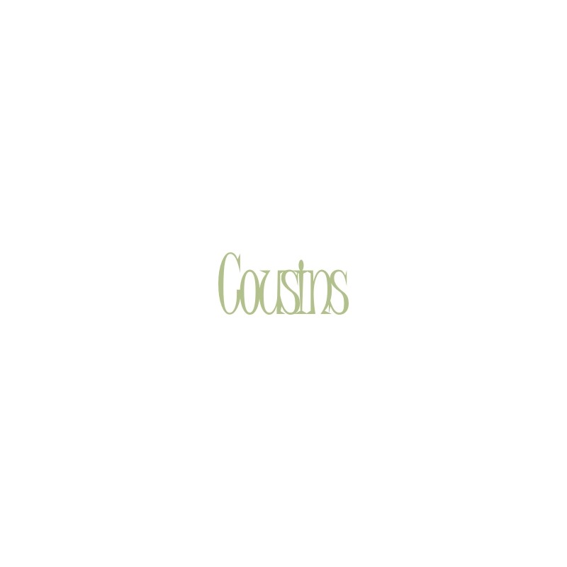 Cousins 100mm x 48mm  min buy 3