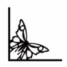 Corner flourish 4 Butterfly pack 10 bulk