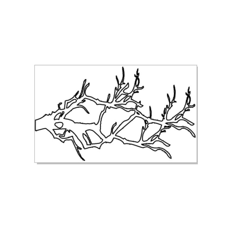 Olde branch100 x 60  2 pack  available 2 sizes
