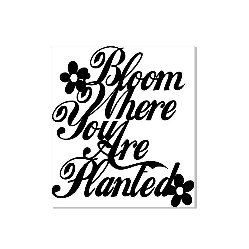 bloom where you are planted  74 x 78 mm sold in 3\'s