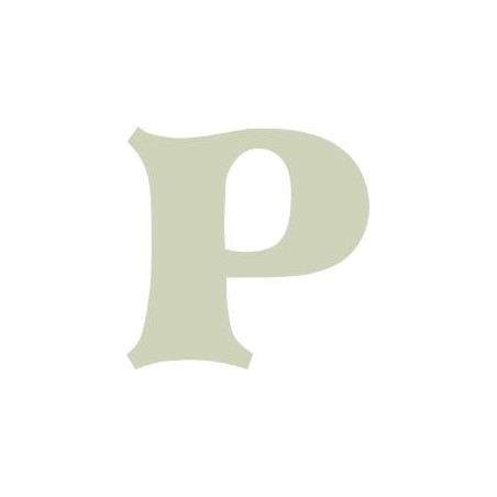 Story 20Mm Alpha Letter - P