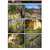 DS0707 dinosaur 1  min buy 5 cut out with your nested dies