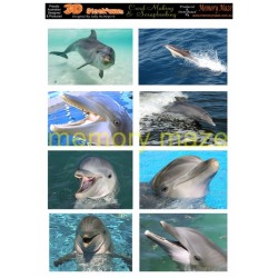 DS0708 DOLPHINS 2  min buy 5  cut out with your nested dies