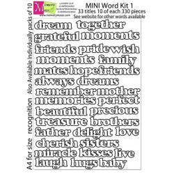 Mini word kit 1 (330 words)