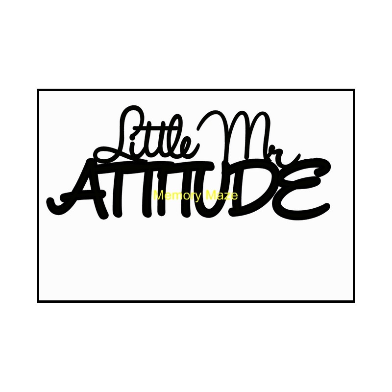 Little Mr attitude 120 x 75 mm min buy 3