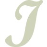 Script 40mm Uppercase Letter - I