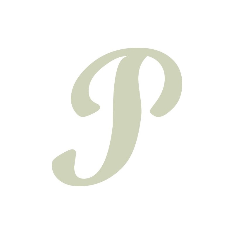 Script 40mm Uppercase Letter - P