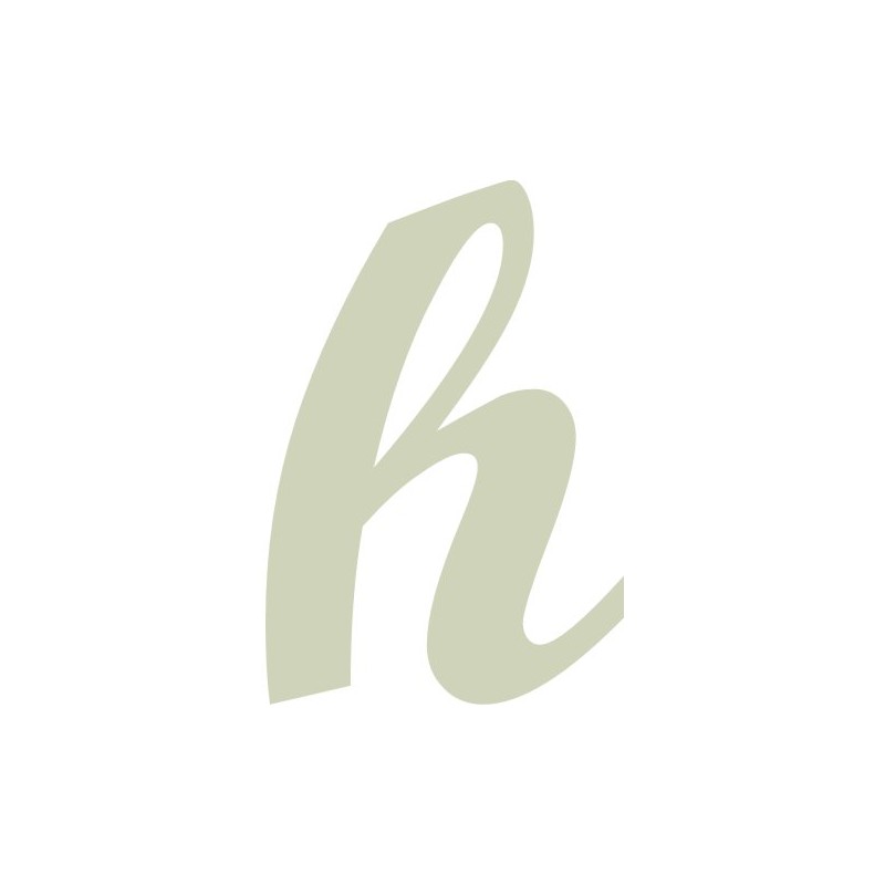 Script 40mm Lowercase Letter - h