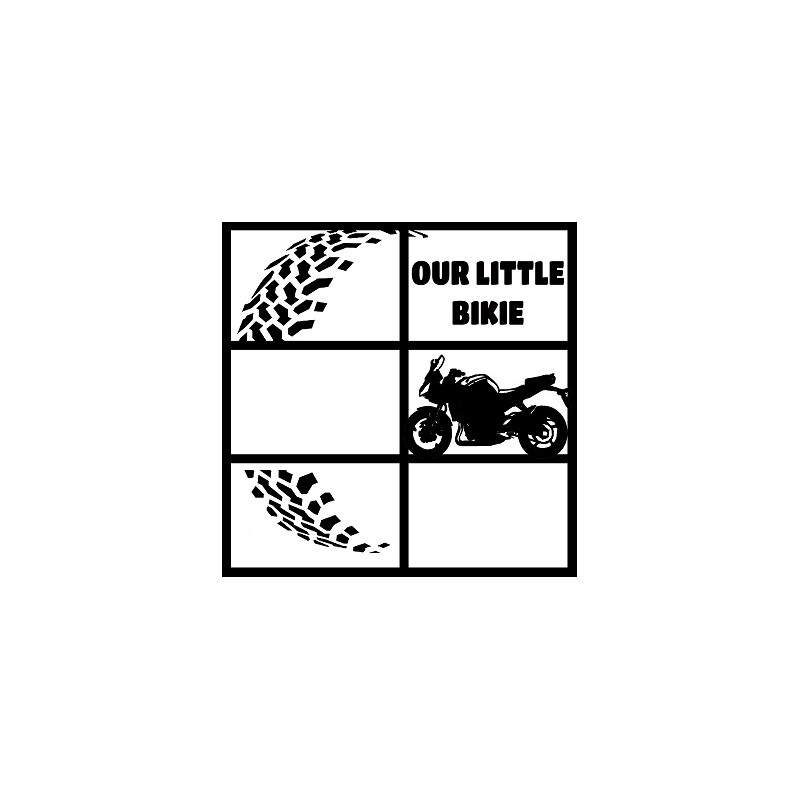 Our little bikie. 12 x 12 frame .