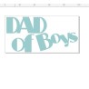 Dad of boys 100 x 50mm  minimum buy of 3   priced individually