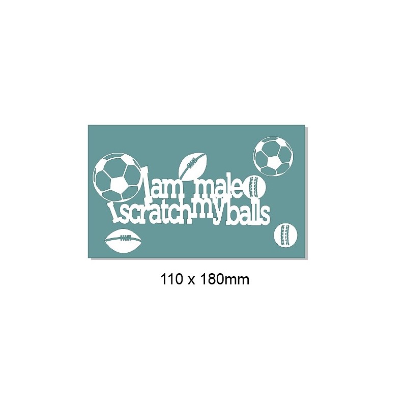 I am man and I scratch my balls  110 x 180mm  Min buy 3