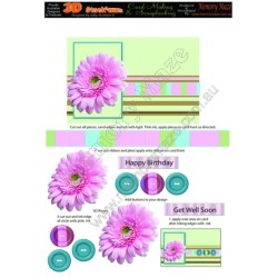 Geranium