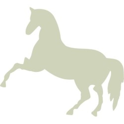 Horses pack of 100