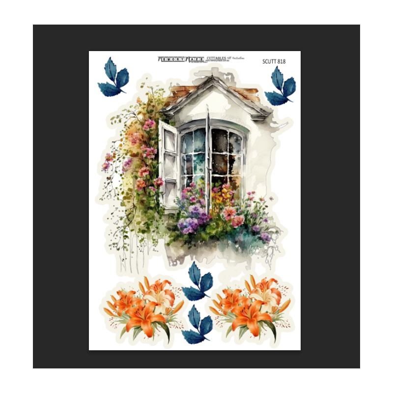scutt 818 Window floral min buy 5
