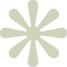 Daisy Solid 2 pack of 10