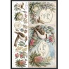 A4 Custom Card Making & Scrapbooking – Handmade, One-of-a-Kind