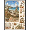 A4 Custom Card Making & Scrapbooking – Handmade, One-of-a-Kind