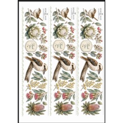 A4 Custom Card Making & Scrapbooking – Handmade, One-of-a-Kind