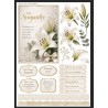 A4 Custom Card Making & Scrapbooking – Handmade, One-of-a-Kind