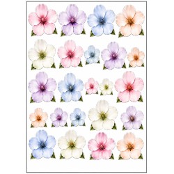 A4 Custom Card Making & Scrapbooking – Handmade, One-of-a-Kind