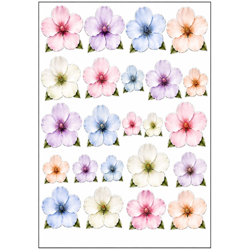 A4 Custom Card Making & Scrapbooking – Handmade, One-of-a-Kind