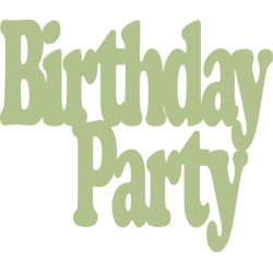 Birthday Party 3