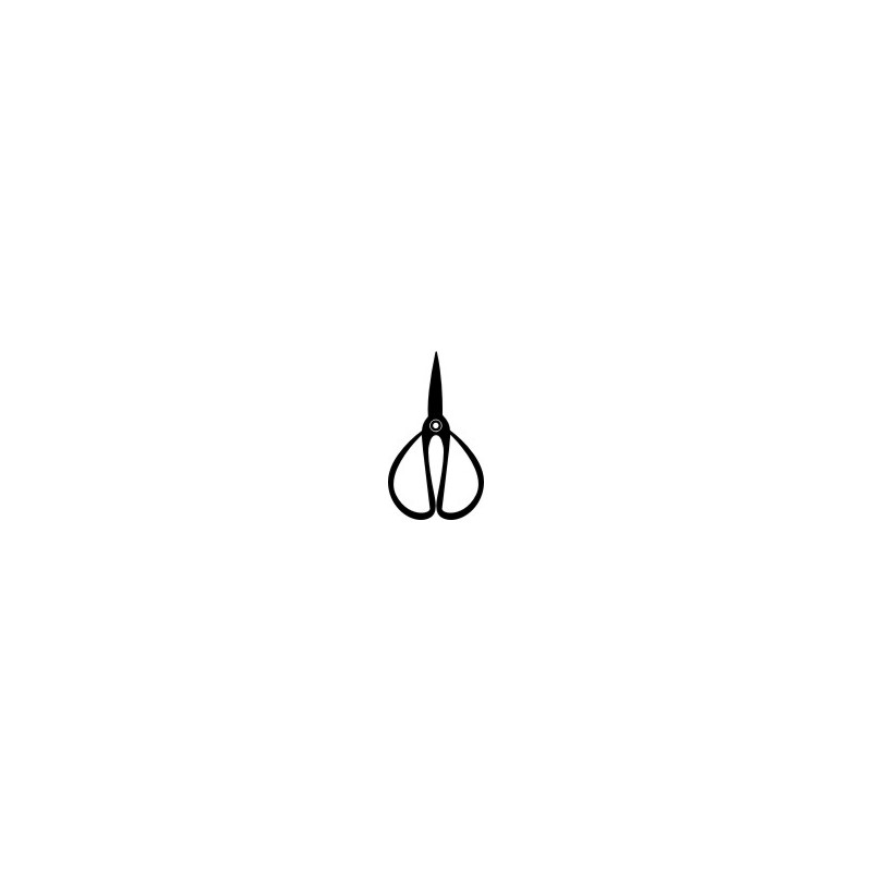 Scissors