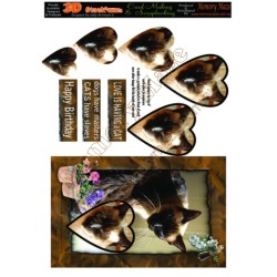 Cats With frame