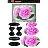 Pink Roses A4 min buy 5