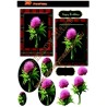 Scotch thistle with red tartan