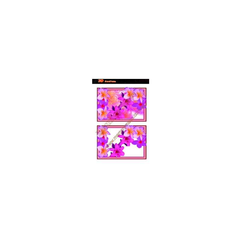 Pink Frangipani